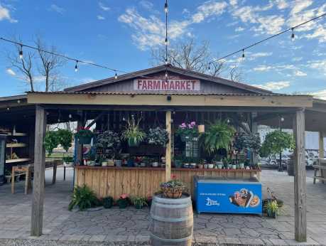 Ms. Bees Farm Market-Store Front