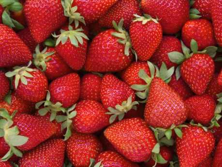 Lilley Farms