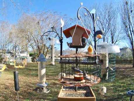 Wild Birds Unlimited