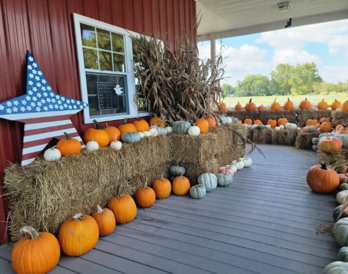 Fall Festival Weekends at Mount Pleasant Farms