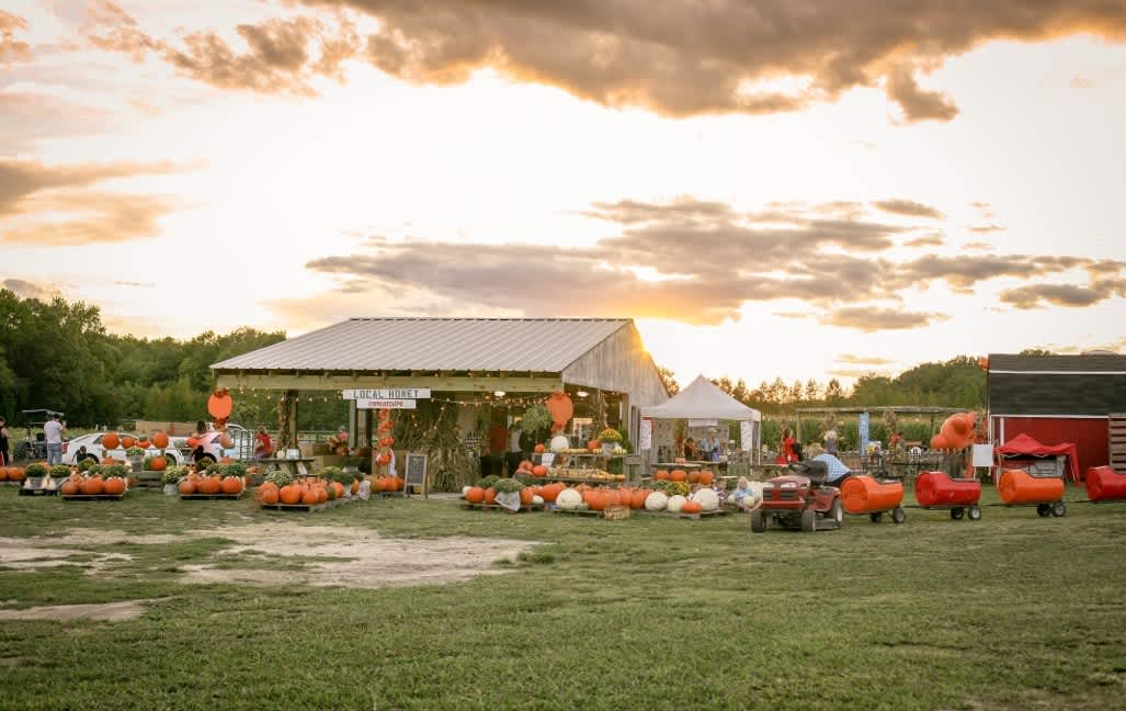 Hickory Ridge Farm