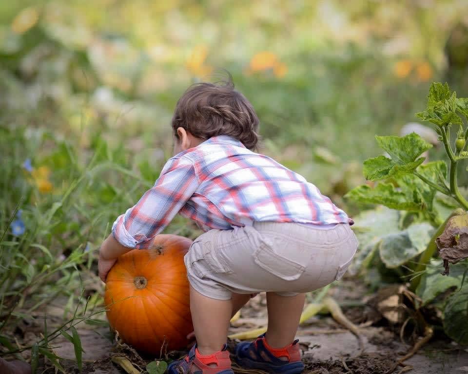 Hickory Ridge Farm