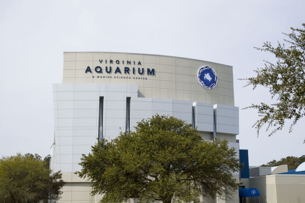 virginia-aquarium-marine-science-center