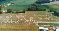 Corn Maze at Bergey's Breadbasket 2023