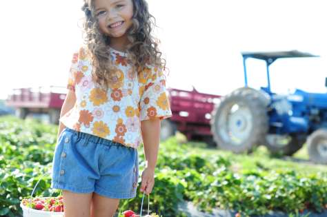 Strawberry Picking