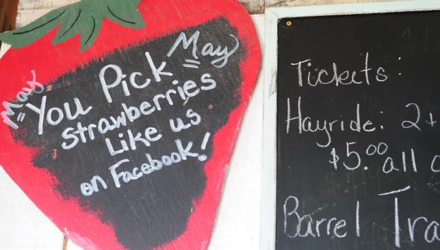 You pick strawberries sign at Mount Pleasant Farms
