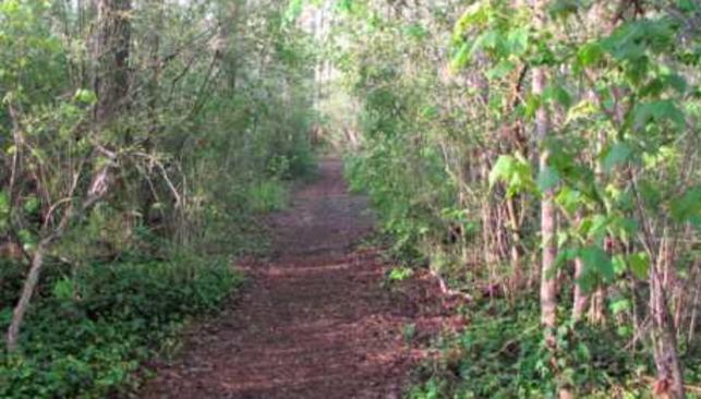 First Day Hike - Northwest River Park