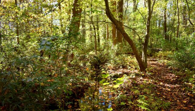Indian River Park