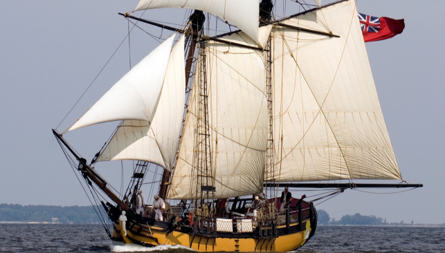 Meet the Sultana 2