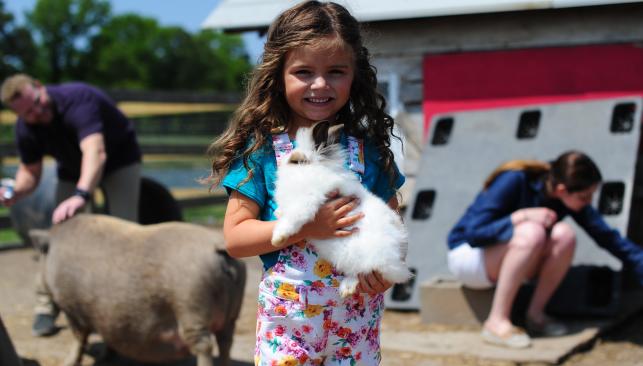 Girl Holding Bunny at a Farm
