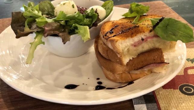 Panini and Salad Hickory Trading Coffee Bistro
