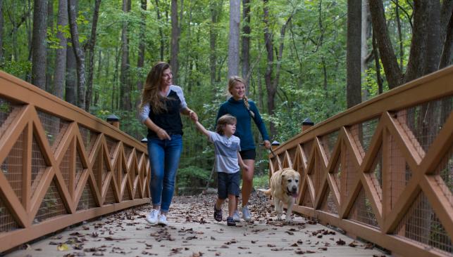 Bridge at Northwest River Park