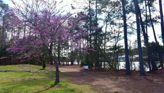 Battlefield Park Trail