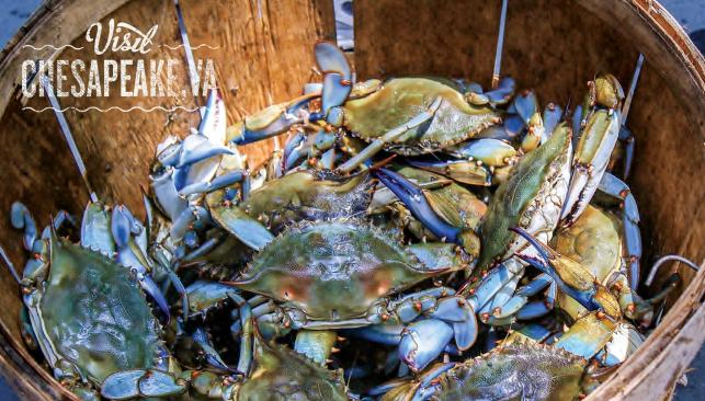 Chesapeake VA Bay Blue Crabs in a basket puzzle photo
