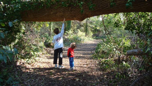 Spring at the Chesapeake Arboretum