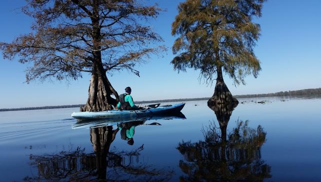 A kayaker in a blue kayak glides through a serene Lake Drummond, bordered by cypress trees, reflecting in the calm water under a clear blue sky.