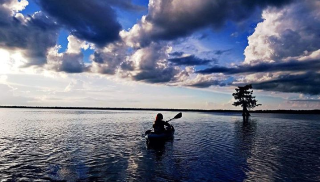 Kayak out on Lake Drummond with clouds in the sky and a tree in the distance