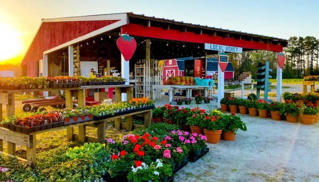 Hickory Ridge Farm