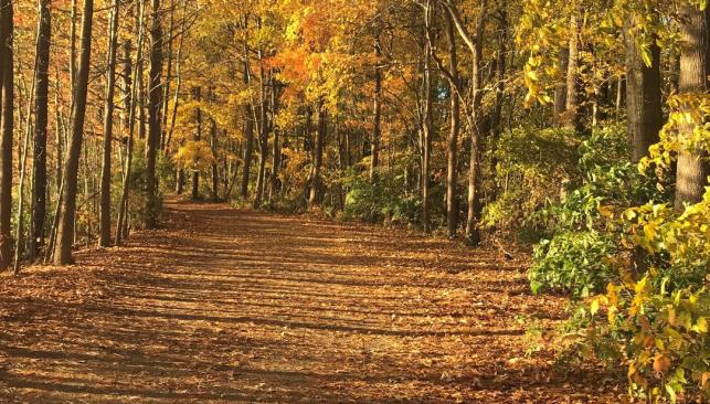 Oak Grove Lake Park Fall