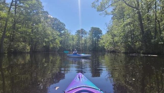 Dismal Swamp Canal
