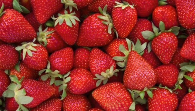 Strawberry Picking