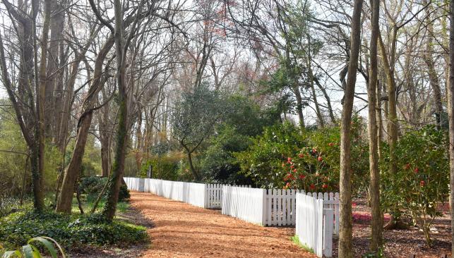 Chesapeake Arboretum