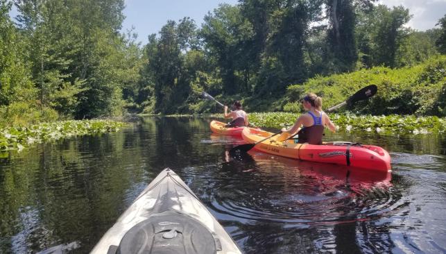 Kayakers on the Northwest River