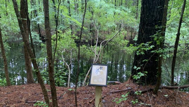Wood Duck Loop