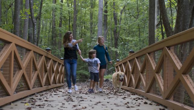 Family Bridge