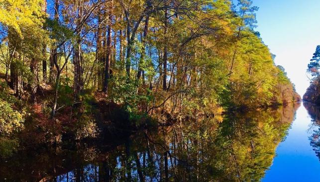 Trees reflect on the water of the Dismal Swamp Canal near Chesapeake, VA