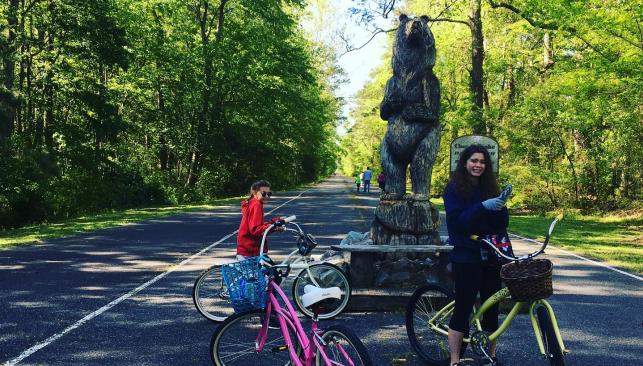 The bike path on the Dismal Swamp Canal Trail