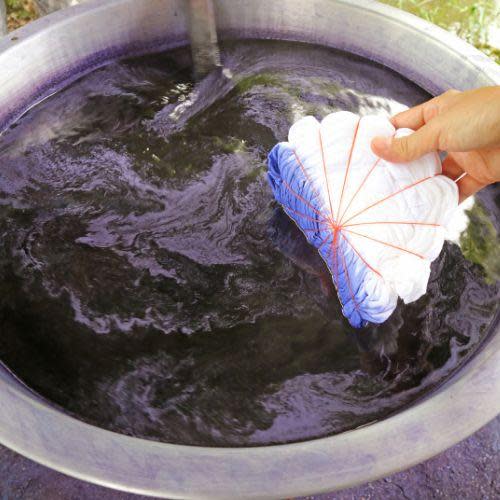 From Plant to Pigment