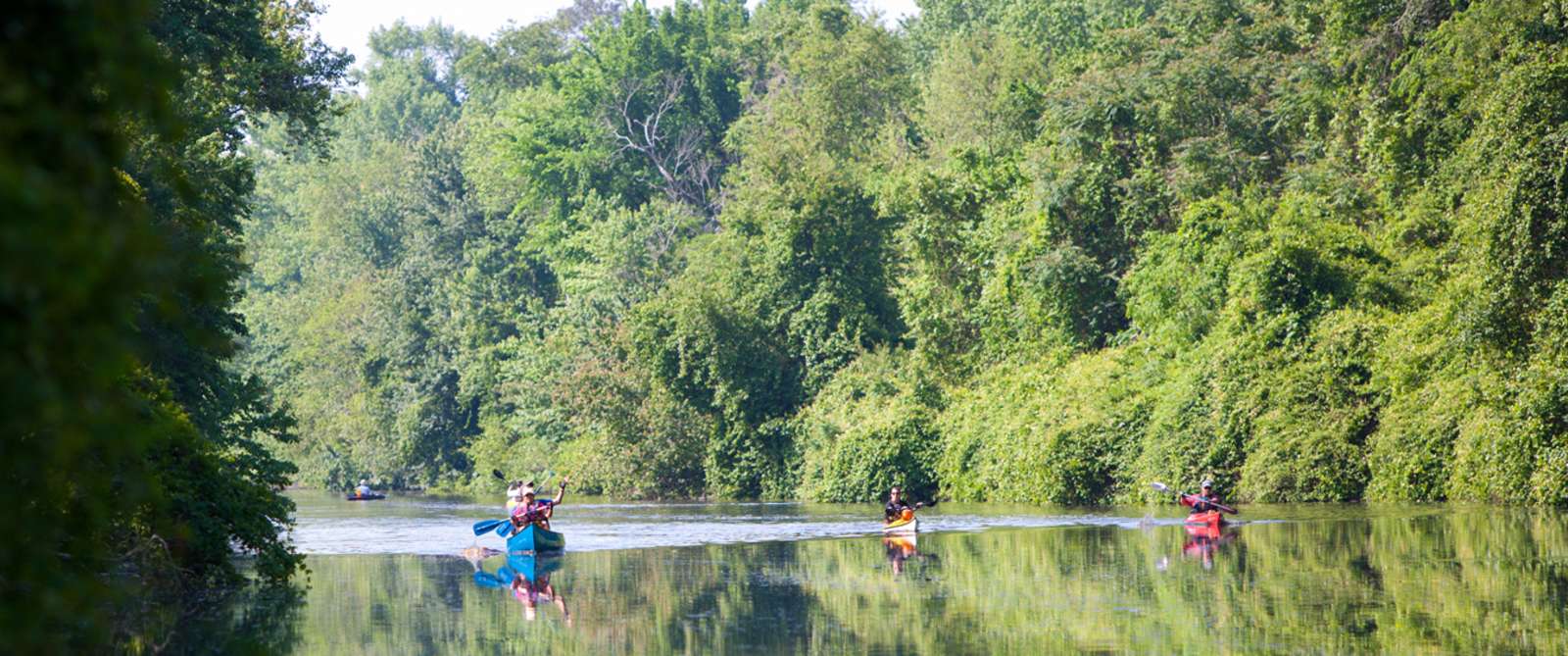 Dismal Swamp Canal