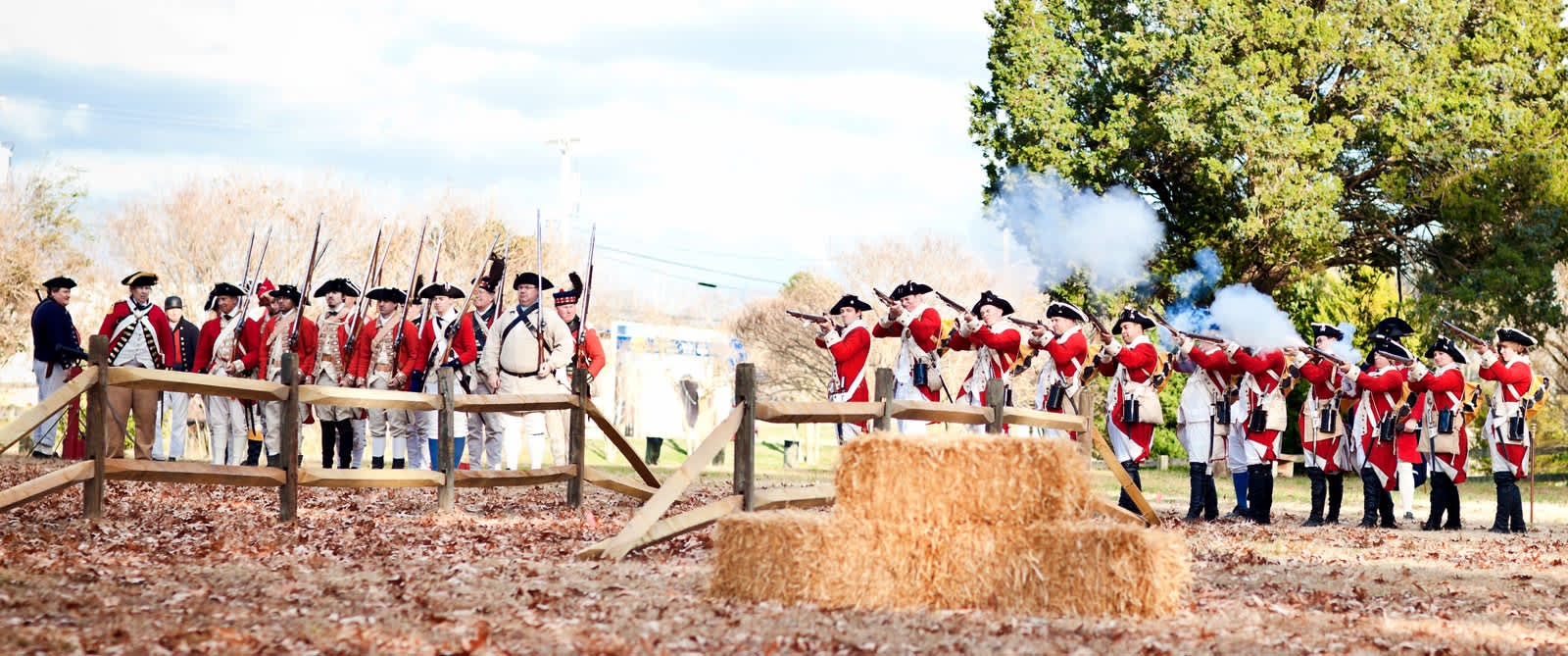 BatGrtBrd-Red-Coats