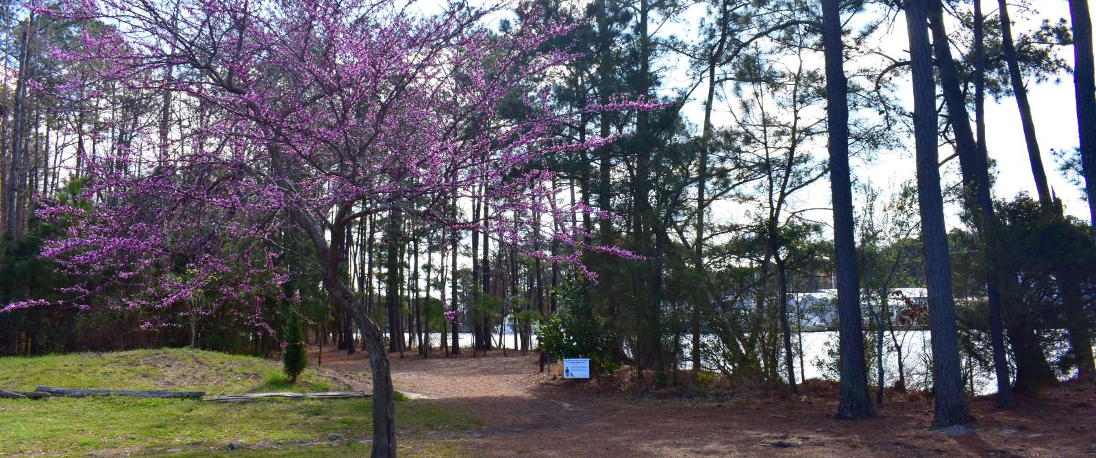 Battlefield Park Trail