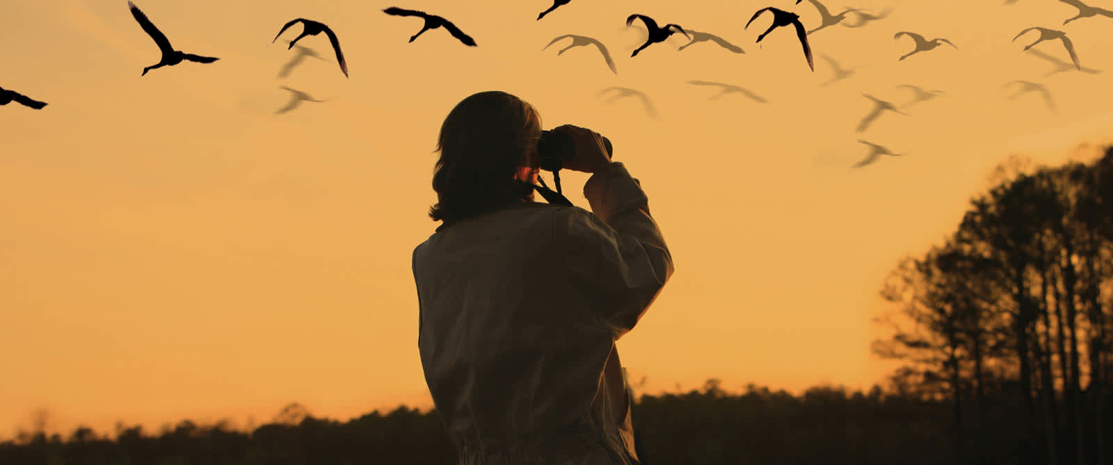 ChesapeakeBirding2