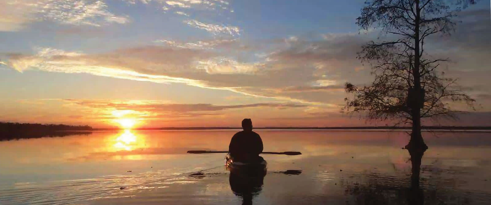 Kayak in Swamp