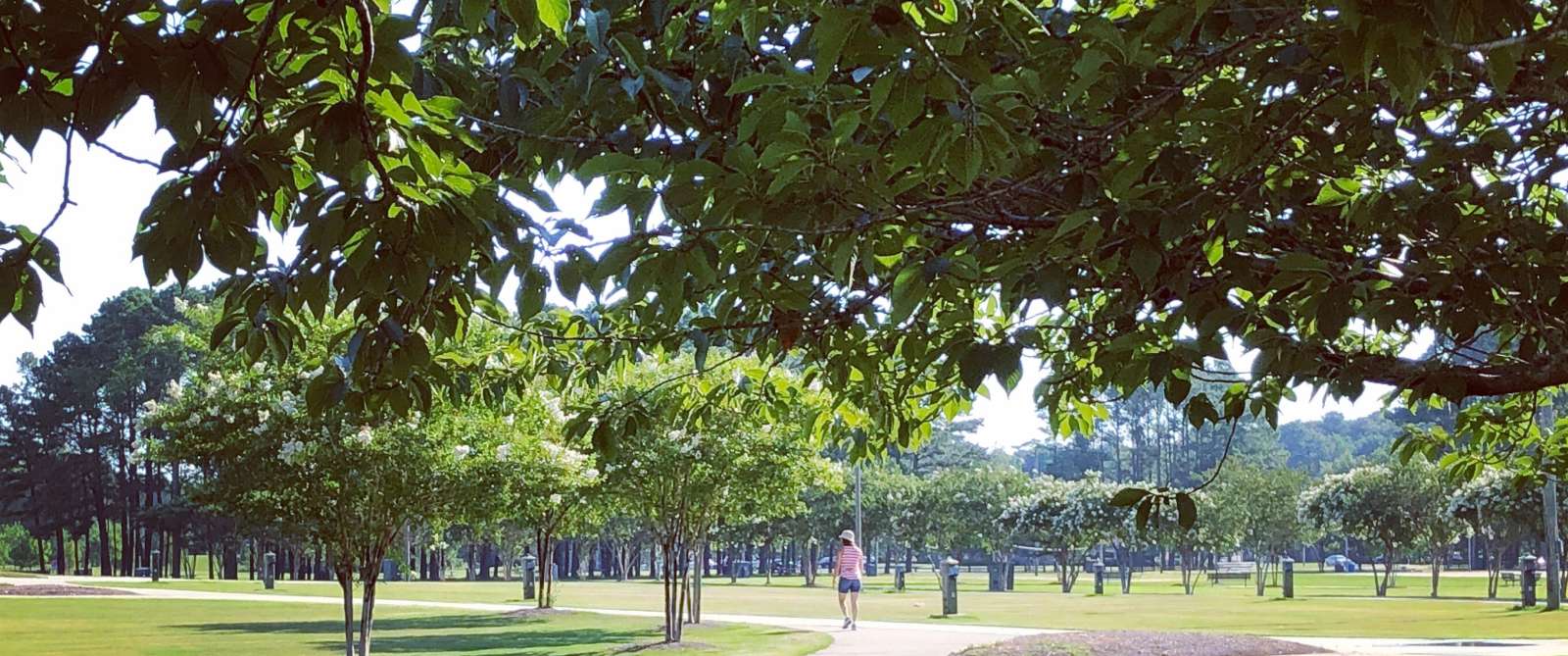 Chesapeake City Park