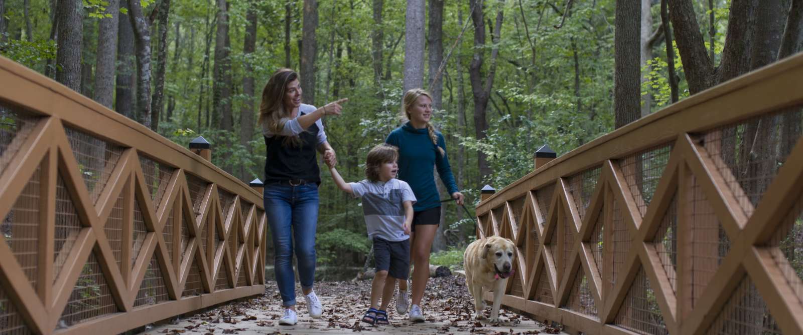 Family Bridge