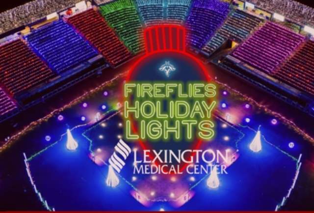 Fireflies Holiday Lights 2025