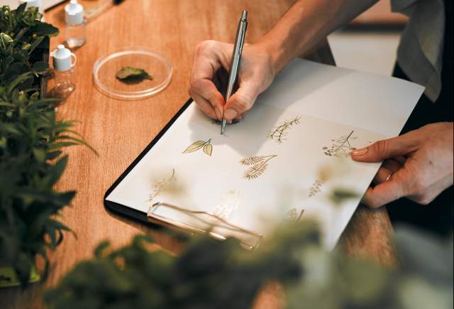 Art Class: Drawing Spring Botanicals