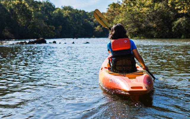 a pair of kayakers on a river