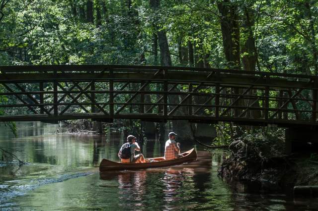 Recharge in Columbia: A Nature & Wellness Retreat Made for Slowing Down
