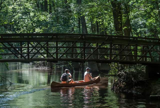 Recharge in Columbia: A Nature & Wellness Retreat Made for Slowing Down