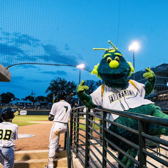 Fireflies Mascot Mason