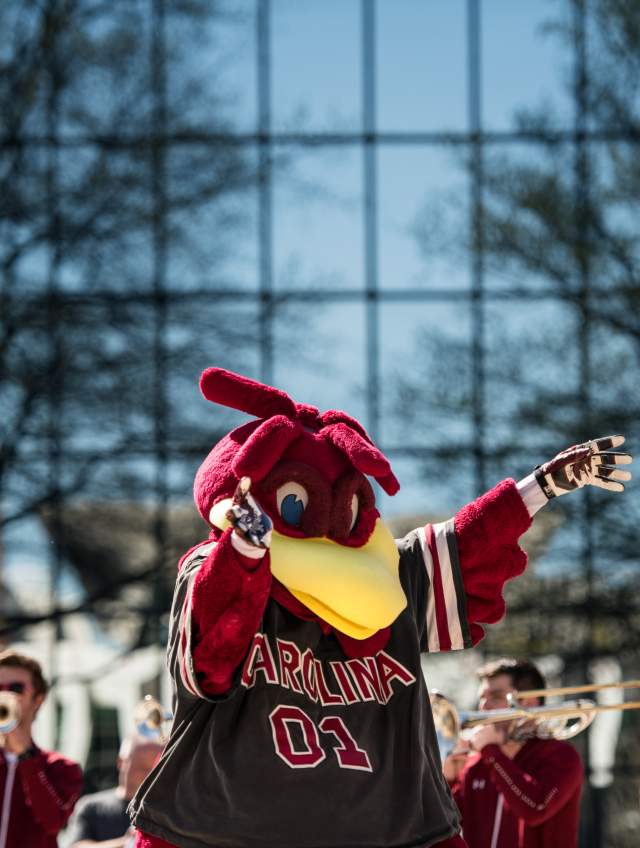 Be aggressive! Be be aggressive! It’s basketball season in Columbia SC