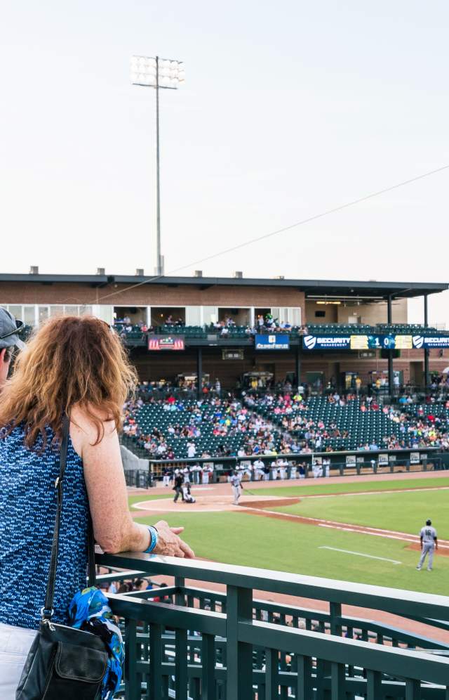 fans_at_baseball_game_Columbia_Fireflies