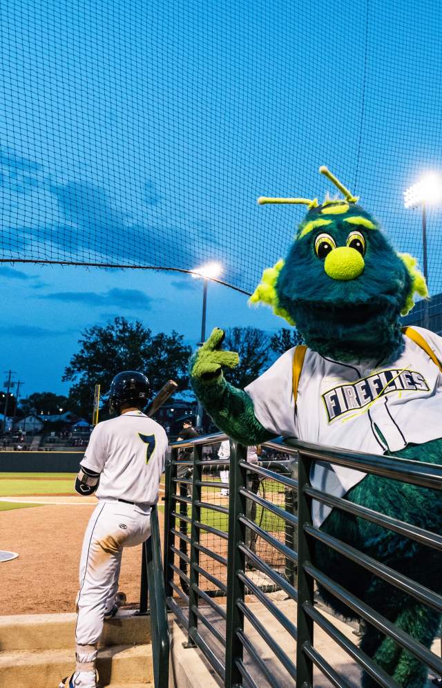 Fireflies Mascot Mason