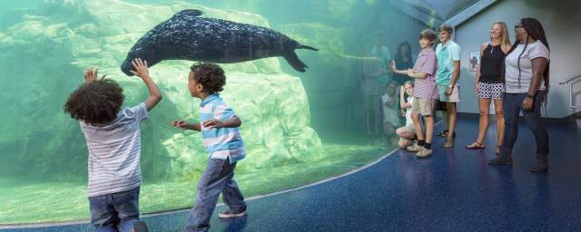 Riverbanks Zoo