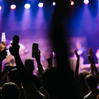 Crowd at a concert